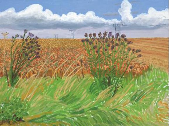 Wheat Field Off Wolgate 2005
