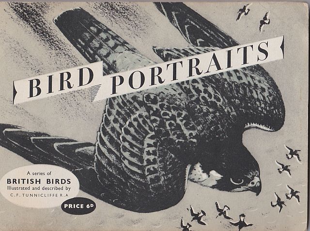 Tunnicliffe, Bird Portraits album, 1957