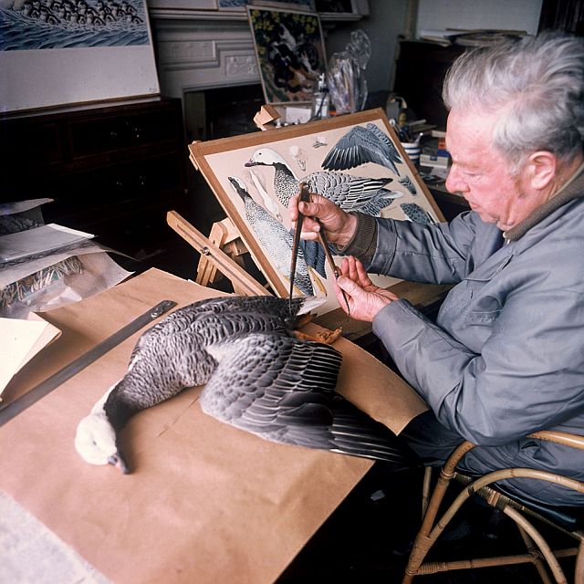 Charles Tunnicliffe painting a measured drawing