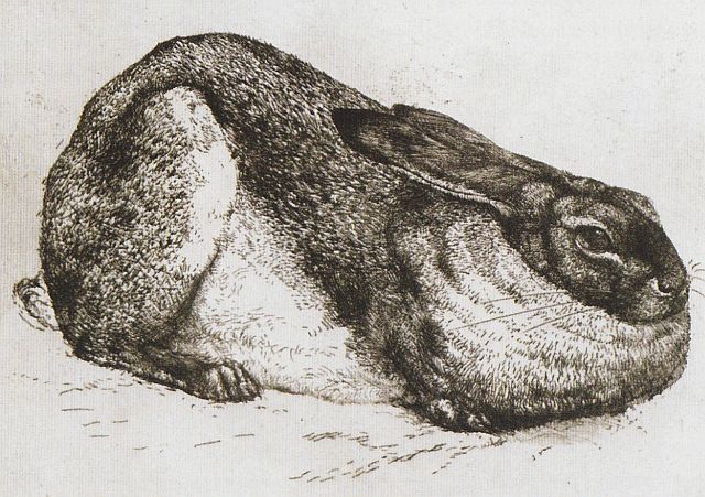 Tunnicliffe, The Sitting Hare, 1920s